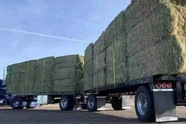 hay-q3ko2wnshd9ovjk25dks2vswyjebltyomejanhwcas